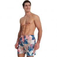 Sorti p/u inot Speedo PRT/CHK LEIS 16 WSHT V2 AM thumbnav 2